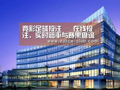 展示五